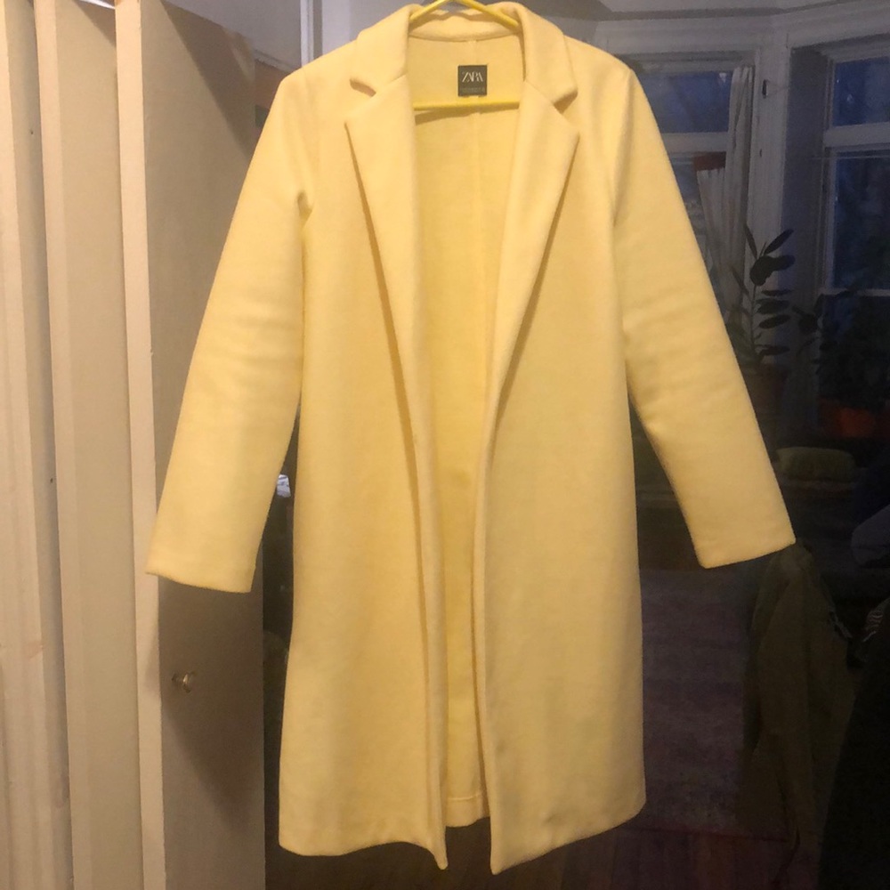 Zara coat